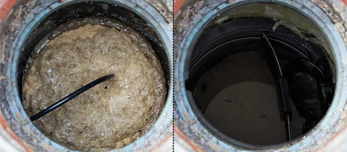 septiclean Comparison